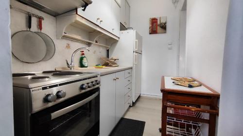 a small kitchen with a stove and a counter at Economy apartment in Flogita