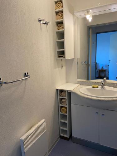 une salle de bain avec un lavabo et un miroir dans l'établissement Maison le long du canal du Midi, à Béziers