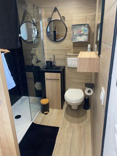 une petite salle de bain avec toilettes et douche dans l'établissement Vieux port de Marseille, à Marseille