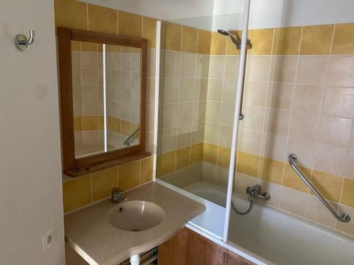 une salle de bain avec un lavabo, une baignoire et un miroir dans l'établissement Studio cabine 5 personnes, à Monflanquin