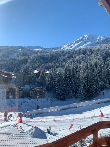 a view of a ski resort with snow covered trees at Appartement familial - La Tania in La Tania