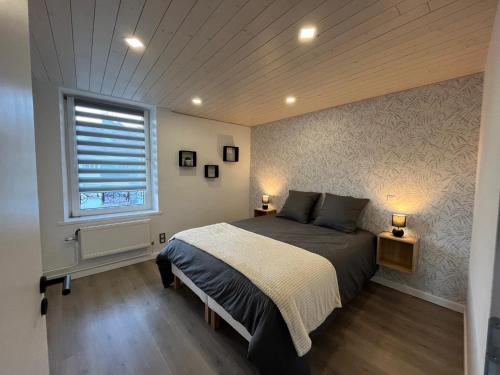 une chambre avec un grand lit et une fenêtre dans l'établissement Appartement St Eloi 75m², à Saint-Dié-des-Vosges