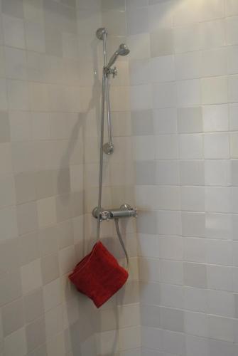 a shower with a red towel in a bathroom at Topzomer in Sleat in Sloten