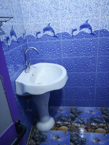 baño con lavabo y delfines en la pared en Small apartment in Egypt luxor West Bank without Home Home furnishings en ‘Ezbet Abu Ḥabashi