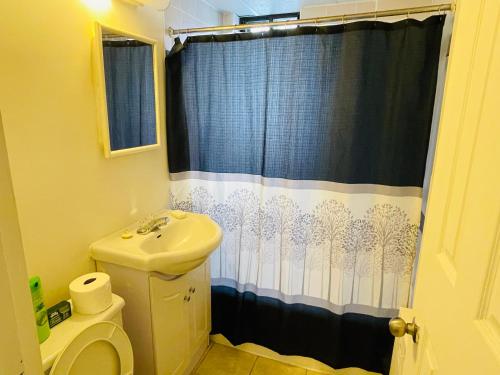 een badkamer met een toilet en een douchegordijn bij Stylish Montreal Apartment: Comfortable Stay in the Golden Square Mile in Montreal