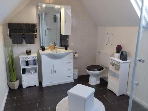 ein Badezimmer mit einem weißen Waschbecken und einem WC in der Unterkunft Ferienwohnung Am Vulkanpfad in Ettringen