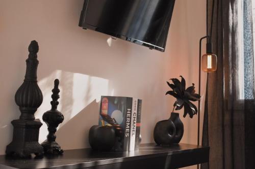 a shelf with a tv and a book and a plant at NISOS Home Stay in Mýkonos City