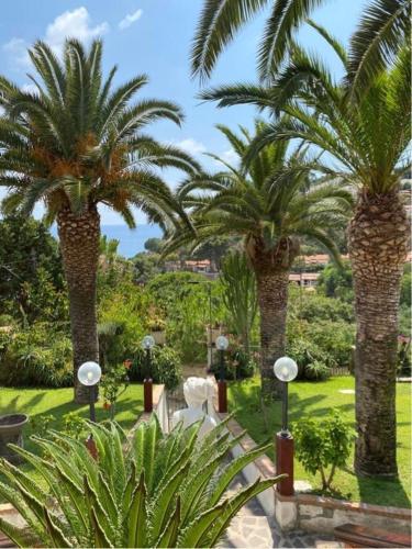 a group of palm trees in a park at La dimora del Capo in Santa Maria