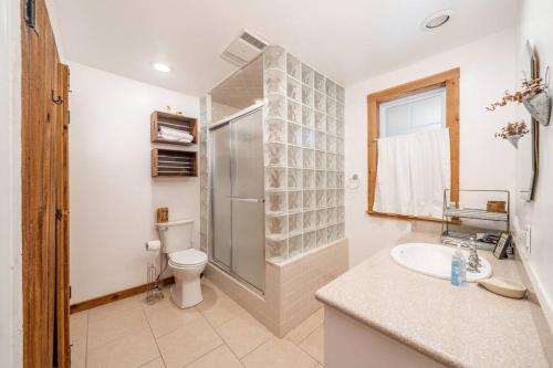 Mallard's Rest في هوت سبرنغز: حمام مع دش ومرحاض ومغسلة