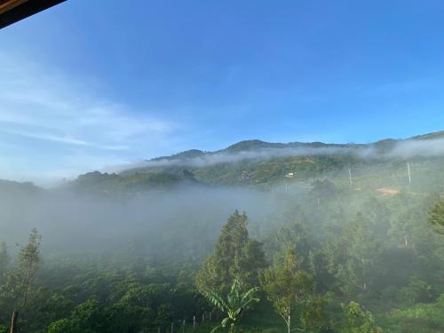 a view of a misty valley with trees at Lam Nguyên Charming House in Bao Loc
