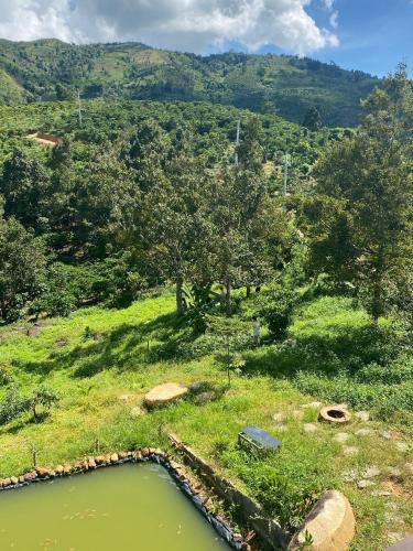 a pool of water in a field with mountains in the background at Lam Nguyên Charming House in Bao Loc