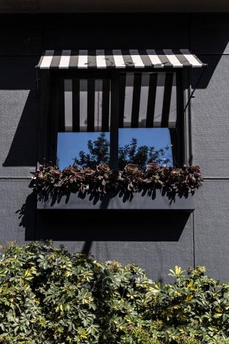 a window of a building with a bench with plants at The Modernist Athens in Athens