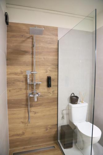 a bathroom with a toilet and a shower at Cruzeto in Syvota