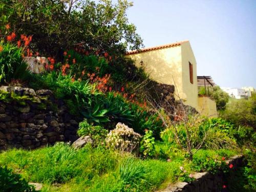 un jardín con flores y una pared de piedra en One bedroom bungalow with terrace at Carreteria 9 km away from the beach, en Moya