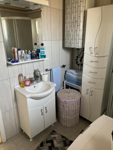 Baño pequeño con lavabo y espejo en Vila Tosic, en Aleksandrovac