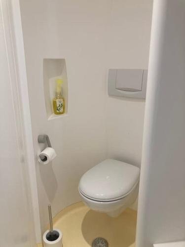 - une salle de bains avec des toilettes blanches dans une cabine dans l'établissement Charmant studio terrasse 25min Aéroport CDG, à Saint-Brice-sous-Forêt
