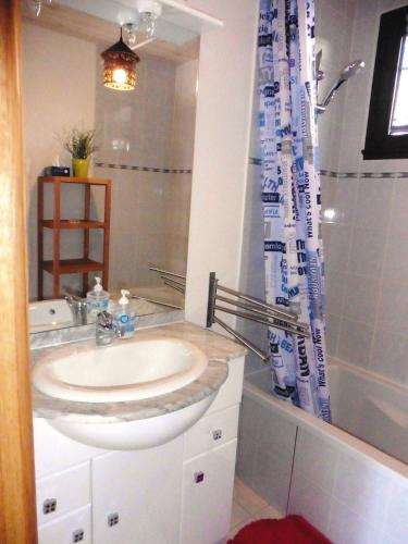 une salle de bain avec un lavabo et un rideau de douche dans l'établissement Bel appart - 2 chambres - terrasse - vue exceptionnelle - à 5 minutes du centre ville, à Embrun