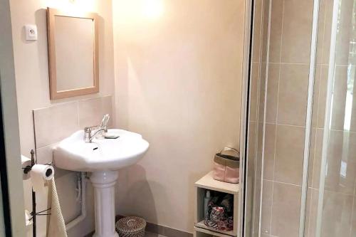 un bagno con lavandino e doccia con specchio di Charmant cottage 8 personnes en Normandie a Cleuville