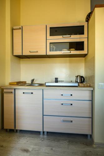 a kitchen with a counter with a sink and a microwave at Center apartment Great Amber in Liepāja