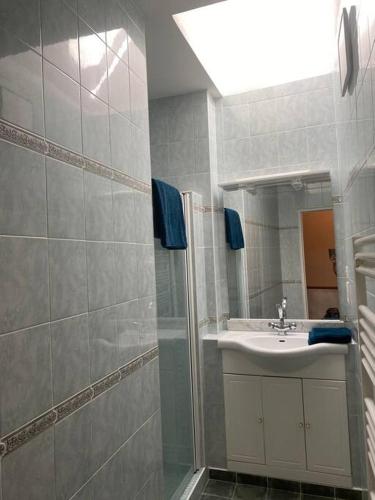 une salle de bain avec un lavabo et une douche avec un miroir dans l'établissement grande maison avec vue sur les Cevennes, à Canaules-et-Argentières