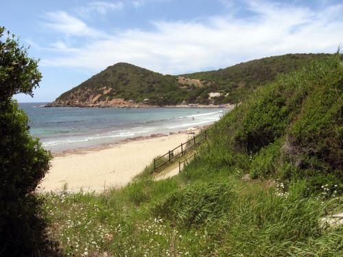 a sandy beach with people swimming in the ocean at Brancadoria B&B in Monteleone Rocca Doria
