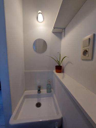 een badkamer met een wastafel en een potplant bij Le Gîte du Herdal in Profondeville