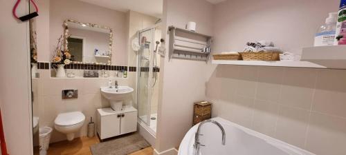 La salle de bains est pourvue d'un lavabo, de toilettes et d'une douche. dans l'établissement Balcony Penthouse Room Basingstoke Hospital 2min drive and walkable, à Basingstoke