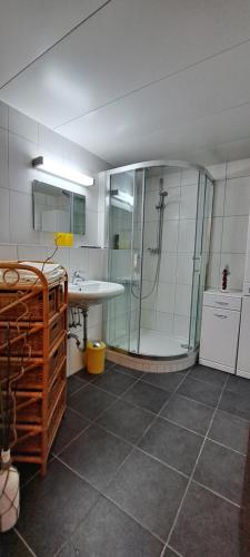 uma casa de banho com um chuveiro e um lavatório. em Direkter Seezugang am Ossiacher See, Radfahren und Wandern em Villach