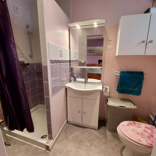 une salle de bain avec un lavabo, une douche et des toilettes dans l'établissement BEL APPARTEMENT CENTRE VEULES LES ROSES 1 CHAMBRE MER 300 M, à Veules-les-Roses