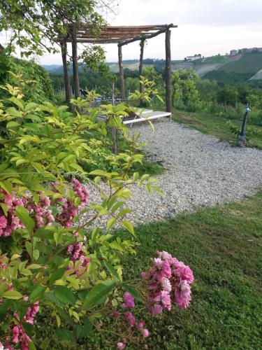 a garden with a bench and pink flowers at B&B Sant'Anna 21 in Monforte dʼAlba