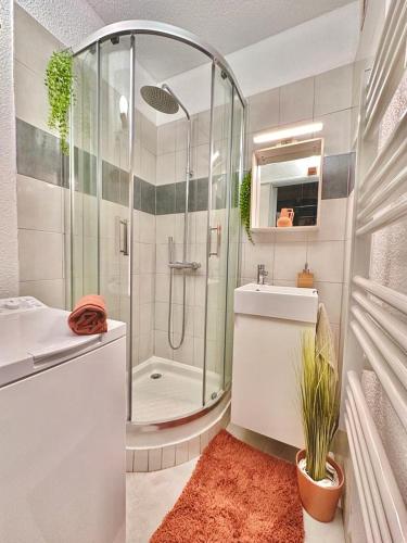 une salle de bain avec une douche, un lavabo et un miroir dans l'établissement La terrasse bandolaise tout à pied, wifi, clim, parking, à Bandol
