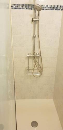 une douche avec pommeau de douche dans une salle de bain dans l'établissement Lolivia Gîte 8 personnes, à Saint-Georges-sur-Cher