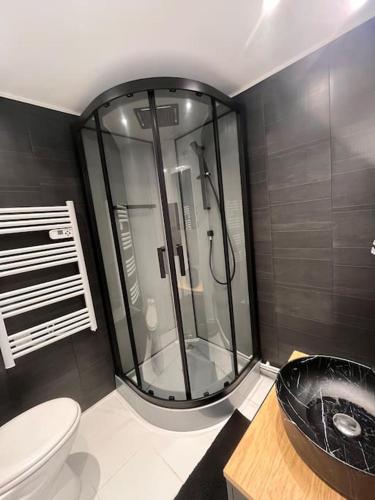 een badkamer met een douche, een toilet en een wastafel bij Maisonnette Cosy in La Ferté-Milon