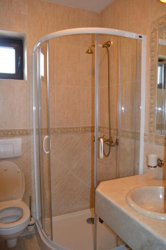 a bathroom with a shower with a toilet and a sink at Micul Castel in Bran