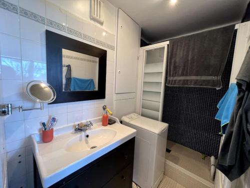 une salle de bain avec un lavabo, des toilettes et un miroir dans l'établissement Appartement lumineux Père Lachaise, à Paris
