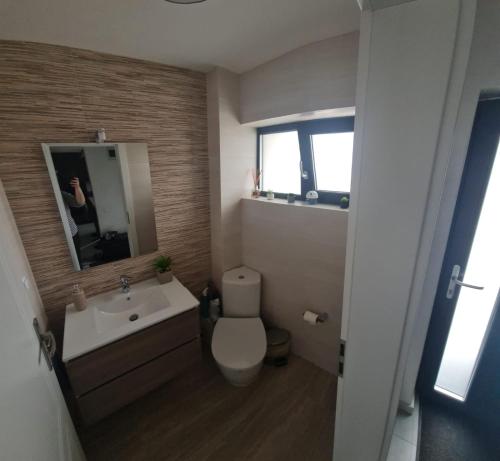 a bathroom with a white toilet and a sink at Tiflea Residance in Cisnădie