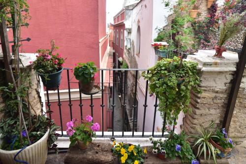 Suite Doña Inés Barrio Santacruz photo 18