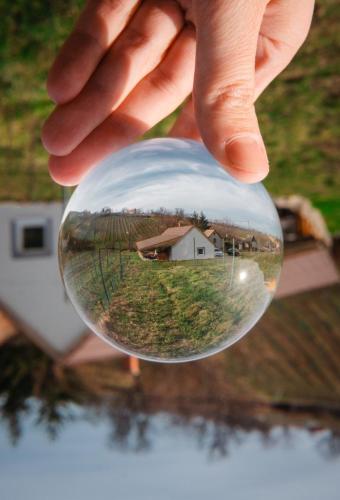 una mano sosteniendo una pelota con una casa en ella en Somló Nordic, en Somlószőlős