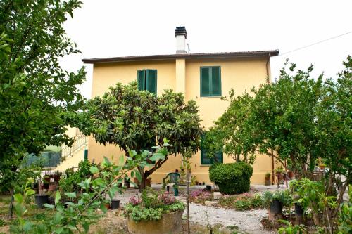 a yellow house with green shuttered windows and trees at La Nostra Maremma in Marsiliana