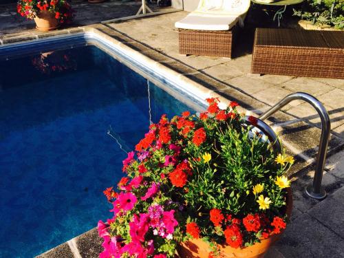 un pot de fleurs assis à côté d'une piscine dans l'établissement Château de Briailles - Chambre d'hôtes, à Saint-Pourçain-sur-Sioule