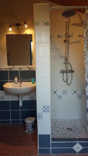 a bathroom with a sink and a shower at Gite Les Fées Papillon in Sauzelles