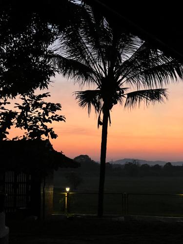 a palm tree with a sunset in the background at Happy Land in Shoranūr