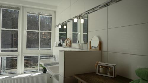 a bathroom with two sinks and two windows at Großzügiges helles Penthouse mit Balkon in ruhiger Lage in Kulmbach
