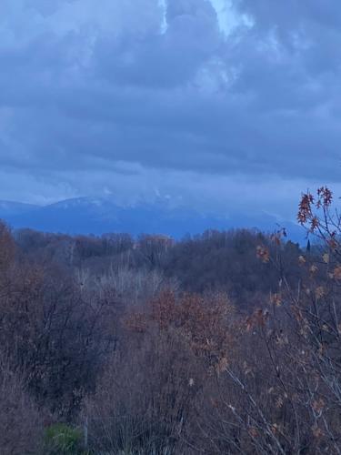 a view from the top of a hill with trees at Residence19ilborgo in Asolo