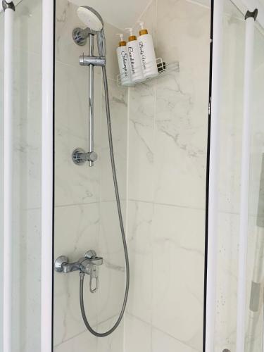 d'une douche avec une porte en verre et un pommeau de douche. dans l'établissement Le Bora Cosy House - T2 lumineux et moderne à proximité du métro, à Maisons-Alfort