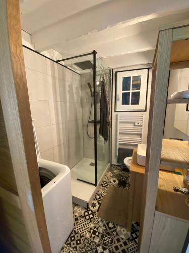 uma casa de banho com um chuveiro e uma porta de vidro em Maisonnette dans la verdure et le calme em Pornichet