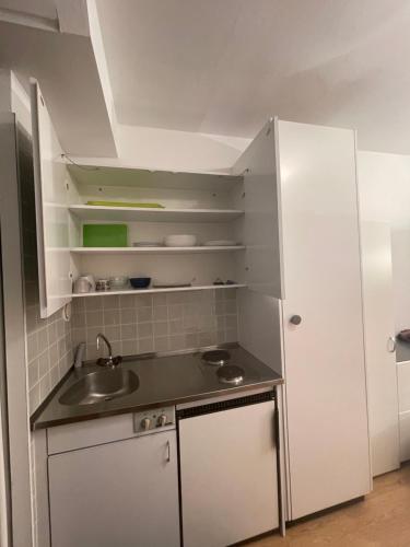 a kitchen with a sink and a white refrigerator at Studio ensoleillé avec vue sur le lac in Lausanne