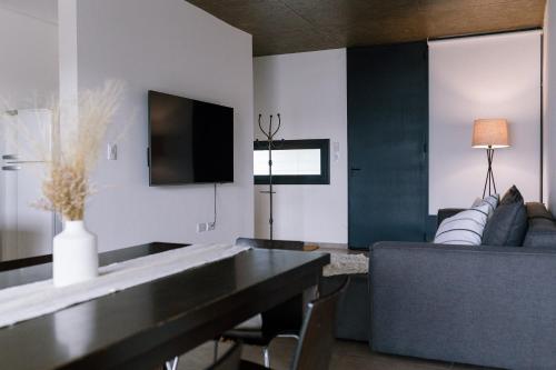 a living room with a couch and a tv at Duplex Alpha in Villa María