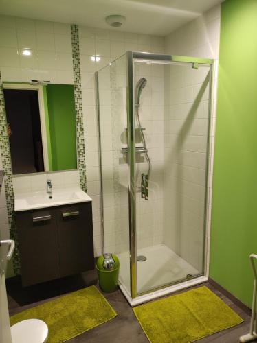 une salle de bain avec une douche avec un lavabo et des toilettes dans l'établissement Chambre chez l'habitant, à Coutances