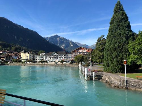a river with a town and mountains in the background at Center Park Apartment in Interlaken